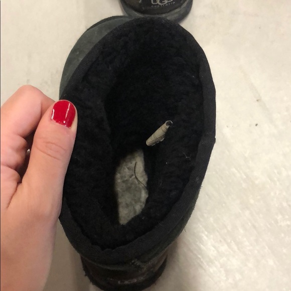 UGGs - Picture 3 of 4